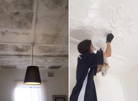 Mould Cleaning Sydney